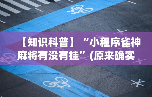 【知识科普】“小程序雀神麻将有没有挂”(原来确实是有插件)