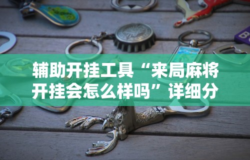 辅助开挂工具“来局麻将开挂会怎么样吗”详细分享装挂