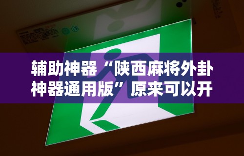 【第一发现】“微乐陕西捉老麻子透视挂”开挂(透视)辅助神器