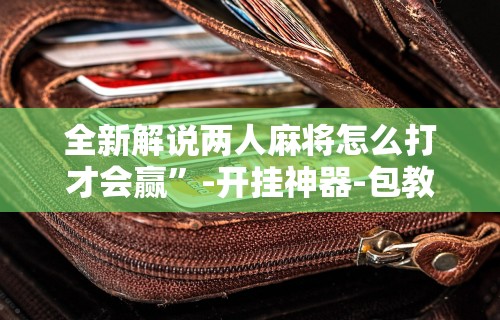【终于出现】“星悦陕西麻将记牌器”详细分享装挂