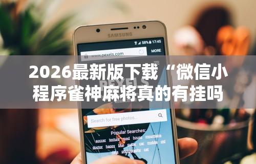 【玩家新攻略】“陕西微乐麻将开挂神器”其实有开挂插件!