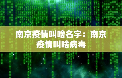 【盘点十款】“天天爱贯蛋怎么开挂”详细辅助教程分享