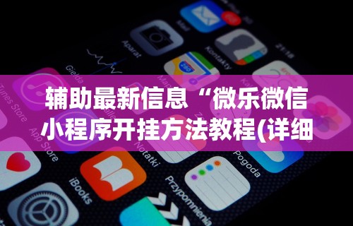 大神揭秘“微乐输多了第二天必赢”开挂(透视)辅助教程