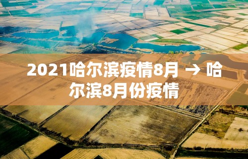 2026首发辅助“终于知道打微乐麻将老输怎么办”详细分享装挂步骤