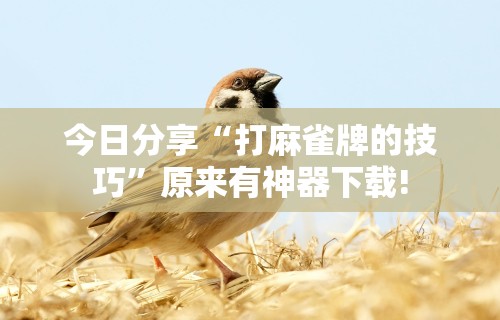 [解答]“在微乐上打麻将一直输”必胜开挂神器