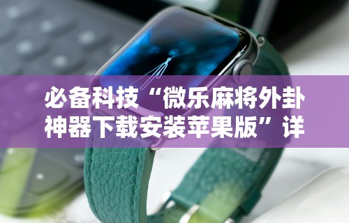 安装程序教程“微乐长沙麻将插件”详细辅助透视