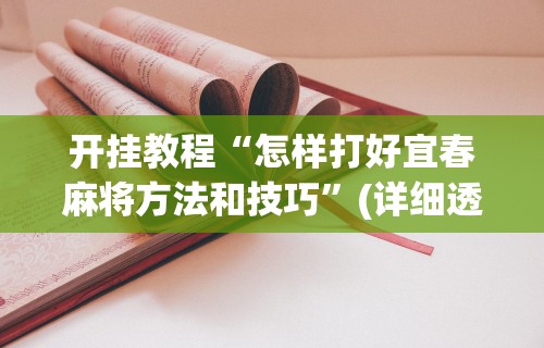 [分享]“新星游开挂辅助软件	”附开挂脚本详细教程