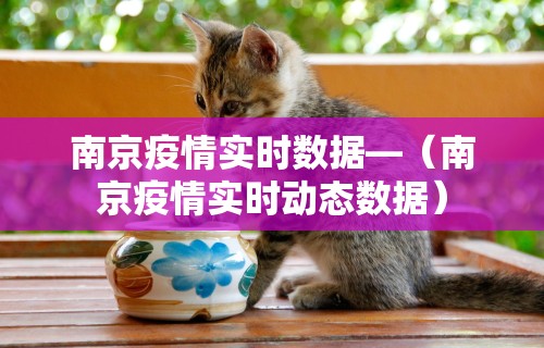 2026最新一代“老铁十三水有挂吗	”真实开挂技巧分享
