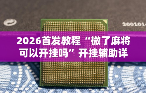 辅助神器“星悦云南麻将胡牌神器	”(原来确实是有挂)