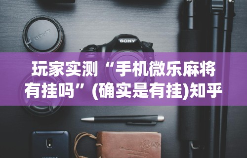 两分钟了解富豪麻将辅助工具”(透视)其实确实有挂