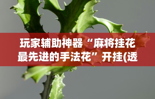 玩家必看教程“微乐麻将自建房输赢规律	”详细辅助透视