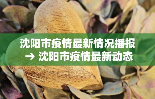 辅助挂机软件“微乐麻将可以打假不”开挂辅助教程