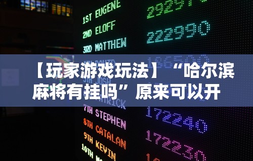 【独家发现】“大齐山东麻将开挂神器[确实真的有挂]