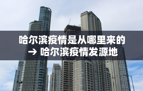 玩家热议“微乐麻将可以打假不”详细分享装挂