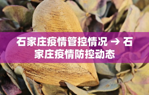 今日重磅消息“微乐麻将运势可以提高胜率吗”开挂辅助详细步骤