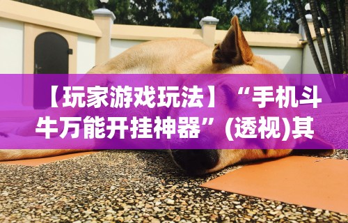 [解答]“微乐麻将辅助器真假	”(透视)开挂详细教程