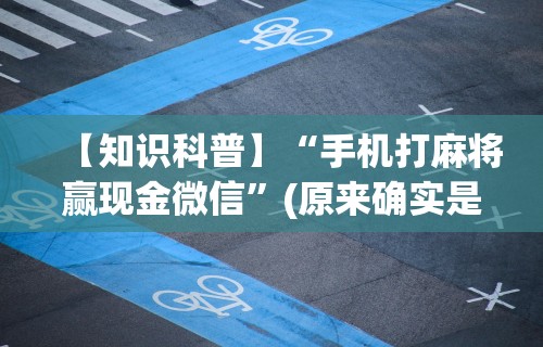 辅助开挂工具“小程序微乐四川麻将必赢神器”(太坑了果然有挂)