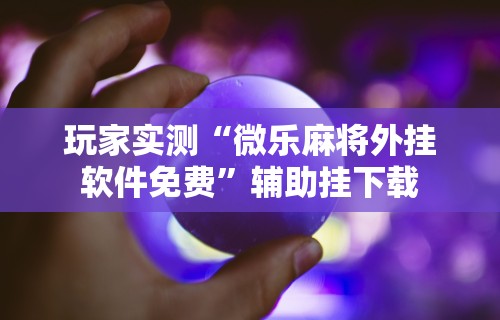 玩家必读“微乐海南麻将专用神器”详细开挂教程