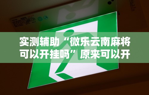 玩家最新攻略“微乐海南麻将万能开挂器	”揭秘透视辅助万能挂 