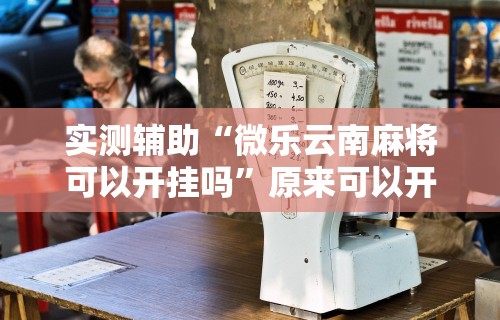 玩家辅助神器:“友乐南宁麻将开挂作弊是真的吗	”掌握辅助功能必胜规则