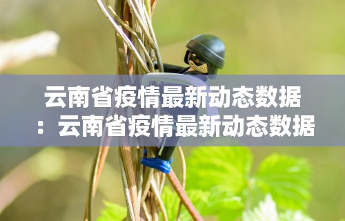 教程分享“齐齐乐牛牛有没有挂”开挂辅助脚本+详细开挂