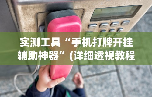 实测工具“手机打牌开挂辅助神器”(详细透视教程)-