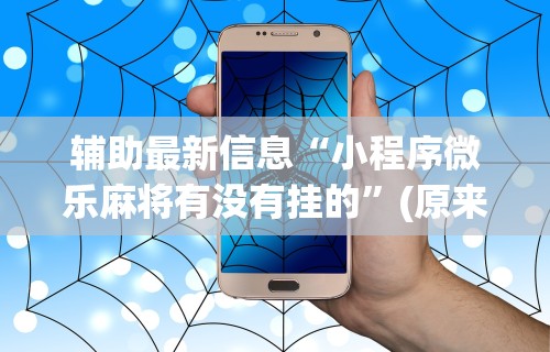 辅助最新信息“小程序微乐麻将有没有挂的”(原来确实是有挂) 