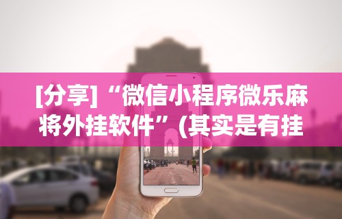 [分享]“微信小程序微乐麻将外挂软件	”(其实是有挂)