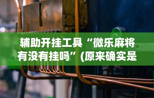 最新一款“川麻四川麻将有挂吗”(透视)开挂辅助脚本+详细开挂安装教程
