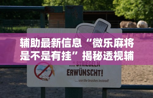 真实辅助“微乐游戏辅助工具”详细外挂安装步骤