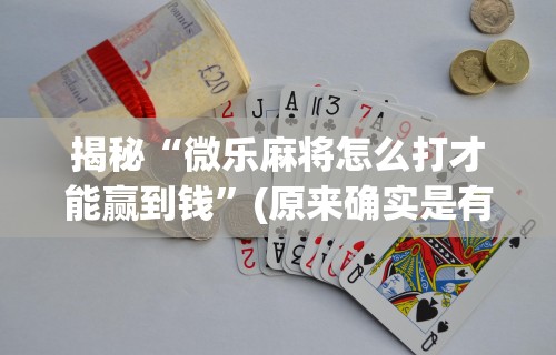 最新教程“微乐海南麻将专用神器	”开挂辅助脚本+详细开挂