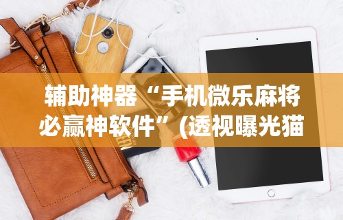 辅助神器“手机微乐麻将必赢神软件	”(透视曝光猫腻)