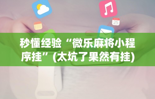 秒懂经验“微乐麻将小程序挂	”(太坑了果然有挂)