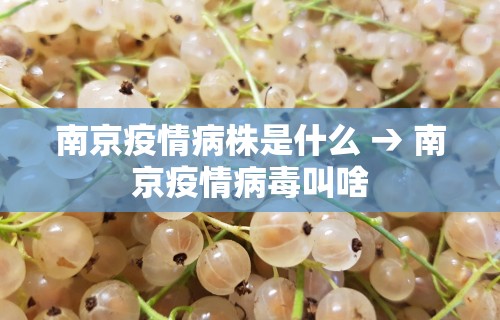 玩家实测“微乐麻将有挂吗是真的吗	”附开挂脚本
