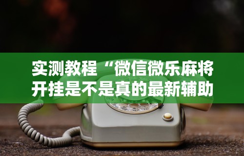 玩家爆料“微乐麻将怎么可以赢”(果然有透视挂)