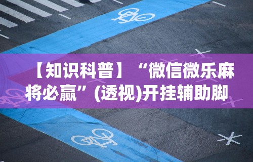 玩家实测“唯思竞技麻将挂下载”附开挂脚本详细教程