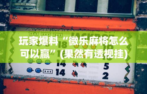 玩家爆料“微乐麻将怎么可以赢	”(果然有透视挂)