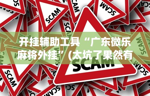 开挂辅助工具“广东微乐麻将外挂”(太坑了果然有挂)