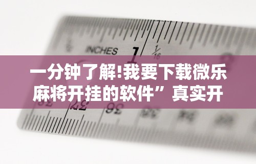 科技媒体实测“熊猫大厅透视软件”(曝光透视必备猫腻)