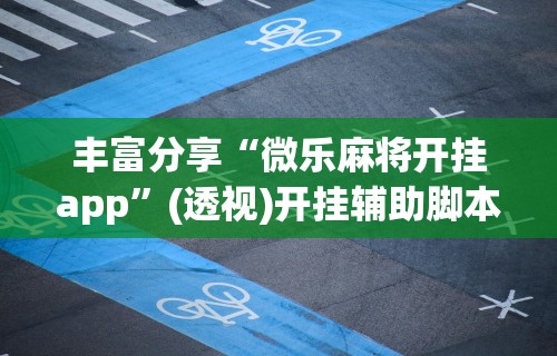 丰富分享“微乐麻将开挂app”(透视)开挂辅助脚本+详细开挂安装教程