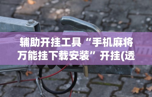 辅助开挂工具“手机麻将万能挂下载安装”开挂(透视)辅助教程