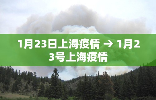 最新总结“中至九江麻将有挂吗	”(曝光透视必备猫腻)