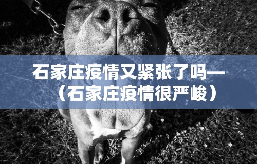 【玩家必看】“边锋辽宁棋牌有挂吗	”附开挂脚本详细步骤