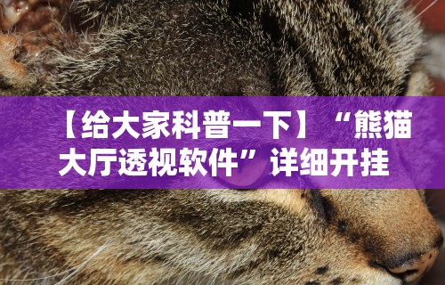 【给大家科普一下】“熊猫大厅透视软件”详细开挂教程