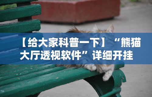 【给大家科普一下】“熊猫大厅透视软件	”详细开挂教程