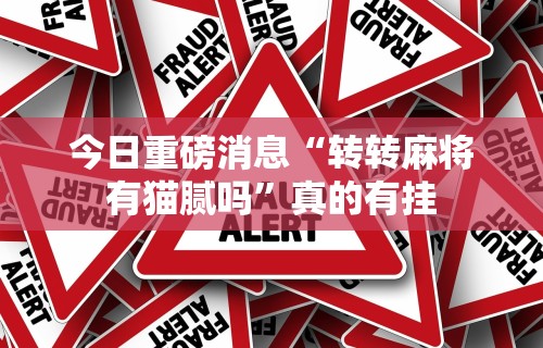 今日重磅消息“转转麻将有猫腻吗”真的有挂
