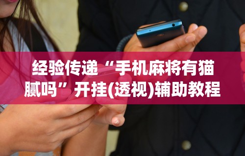 秒懂经验“麻将来了有没有挂(详细透视开挂教程) 秒懂经验“麻将来了有没有挂(详细透视开挂教程)