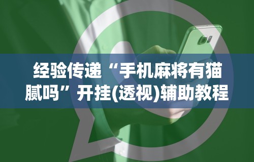 经验传递“手机麻将有猫腻吗”开挂(透视)辅助教程