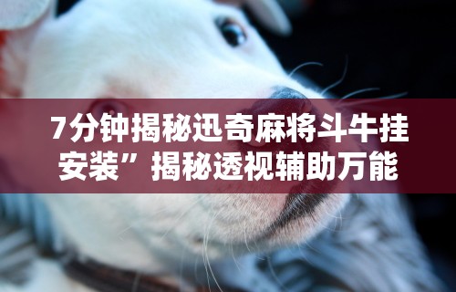 内测功能“微信链接牛牛到底有没有挂”原来可以开挂
