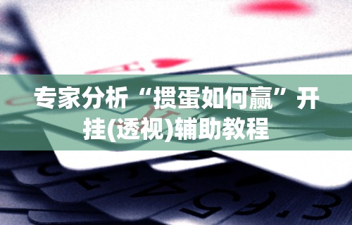 专家分析“掼蛋如何赢”开挂(透视)辅助教程